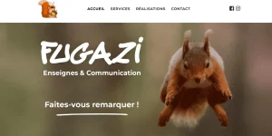 Fugazi communication