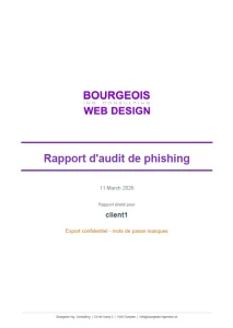 Audit Phishing